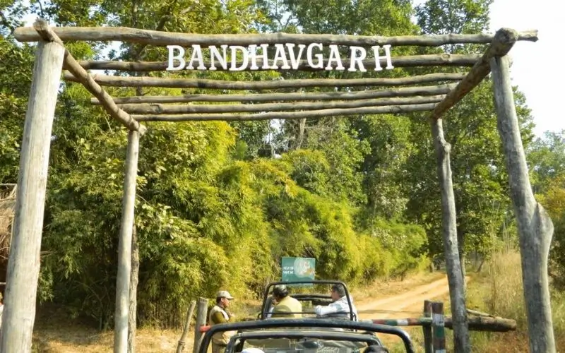 Bandhavgarh National Park